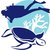 Emirates diving association